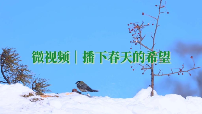 微视频｜播下春天的希望